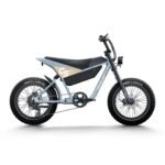 750W Moto-Style Full-Suspension Electric Bike, 28 mph | Himiway C5 - Image 2