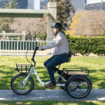 500W Electric Trike, 60-Mile Range, Low Step-Through | Emojo Dexter - Image 7