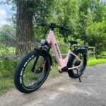 750W Step-Through Off-Road & City Electric Bike, 400 lb Payload | Kingbull Discover ST 2.0 - Image 3