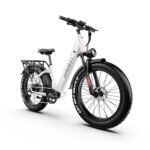 750W Step-Through Off-Road & City Electric Bike, 400 lb Payload | Kingbull Discover ST 2.0 - Image 5