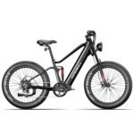 750W Full-Suspension Fat Tire Electric Bike, 80 Nm Torque | Kingbull Rover 2.0 - Image 2