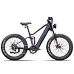 750W Full-Suspension Fat Tire Electric Bike, 80 Nm Torque | Kingbull Rover 2.0