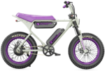 750W Limited Edition Fat Tire Electric Bike, 76-Mile Range | Macfox X1S x Bs.zay - Image 6