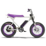 750W Limited Edition Fat Tire Electric Bike, 76-Mile Range | Macfox X1S x Bs.zay