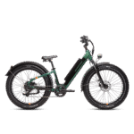 750W Fat Tire Electric Bike, Hydraulic Disc Brakes | Rad Power RadRover 6 Plus