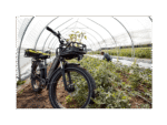 750W Fat Tire Electric Bike, Hydraulic Disc Brakes | Rad Power RadRover 6 Plus - Image 9