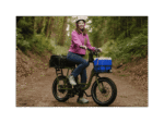 750W Electric Cargo Utility Bike, 320 lb Payload | Rad Power RadRunner - Image 9