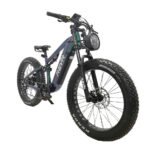 750W All-Terrain Fat Tire Electric Bike, 28 mph | REVR TA9 - Image 6