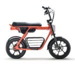 500W Lightweight Kids Electric Bike, 46 lbs | Rictor EB16