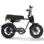750W Moped-Style Fat Tire Electric Bike, App Connected | RICTOR Flexx