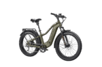 750W Heavy-Duty Fat Tire Electric Bike, 90 Nm Torque | Velotric Nomad 2 - Image 19