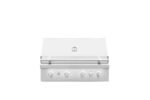 42-Inch Built-In Grill, 304 Stainless Steel, IR Back Burner, 8mm Grates | Coyote QUEST