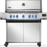 Connected 5-Burner Gas Grill, Wi-Fi/Bluetooth, Infrared Side & Rear, Propane | Napoleon Prestige 665