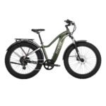 750W Fat Tire Electric Bike with Torque Sensor, All-Terrain | Aventon Aventure 2