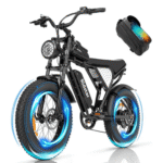 1000W Fat Tire Electric Bicycle, 48V 15Ah, All-Terrain | Ridstar Q20